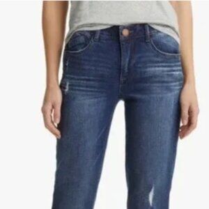 Wit & Wisdom Absolution Girlfriend Jeans NWT Sz 6